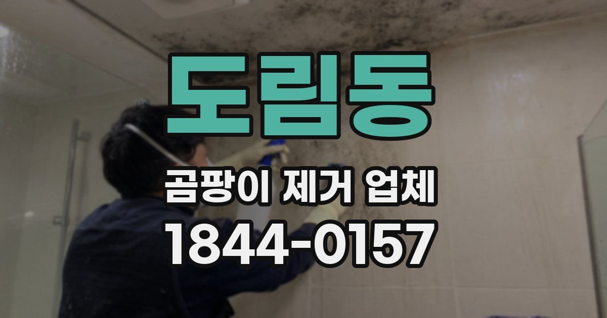 도림동 곰팡이 제거 업체