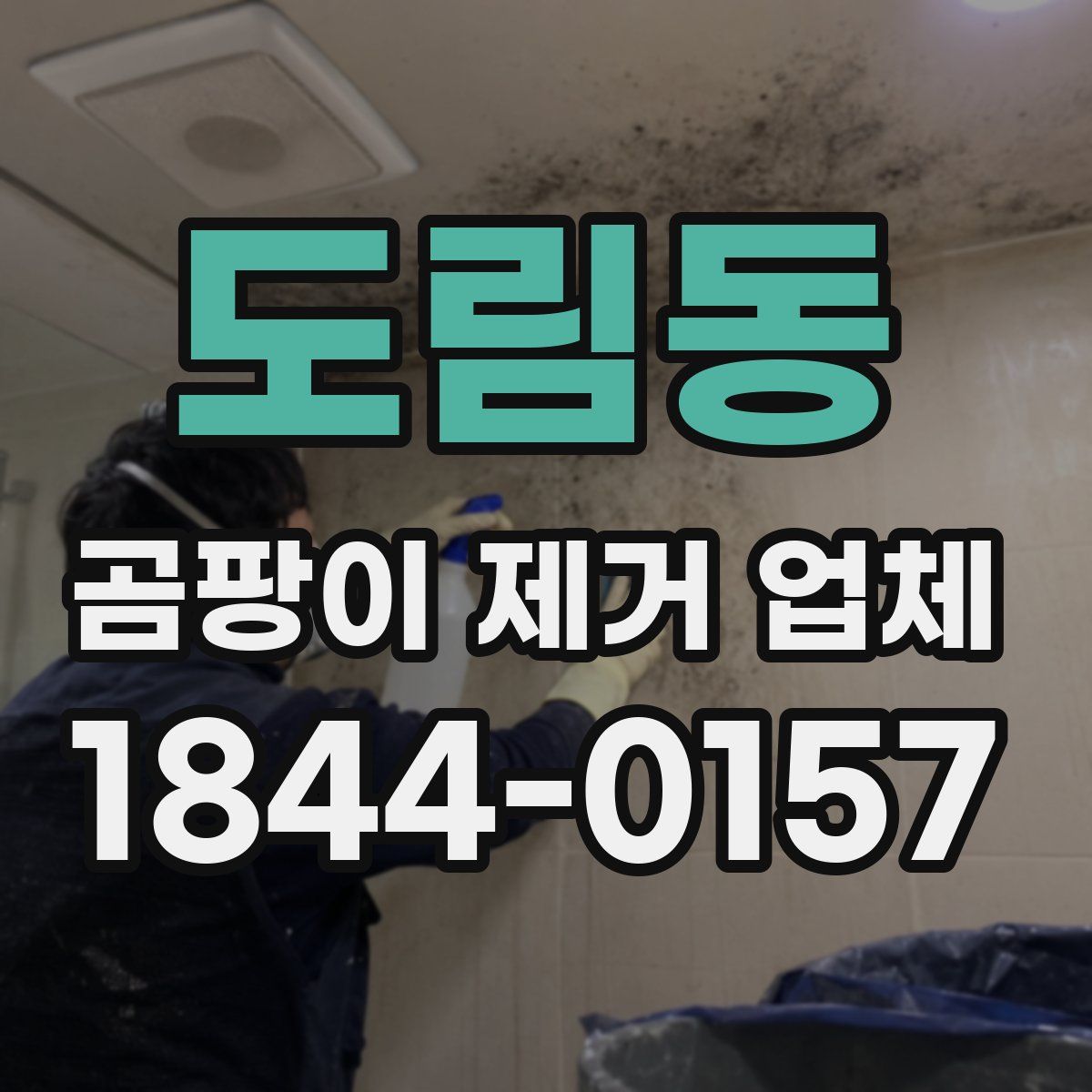 도림동 곰팡이 제거 업체