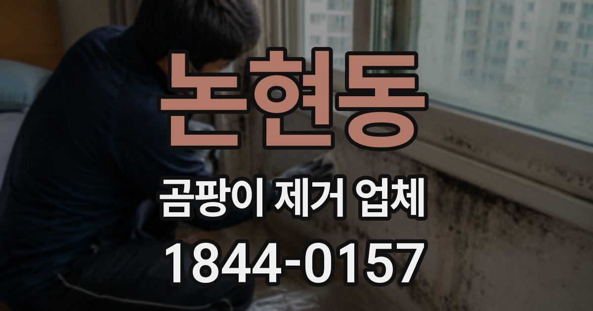 논현동 곰팡이 제거 업체