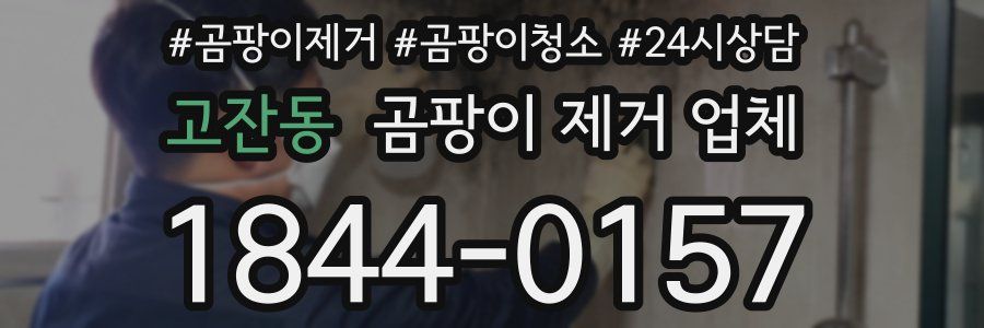 고잔동 곰팡이 제거 업체