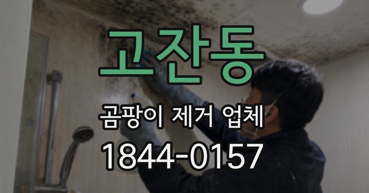고잔동 곰팡이 제거 업체