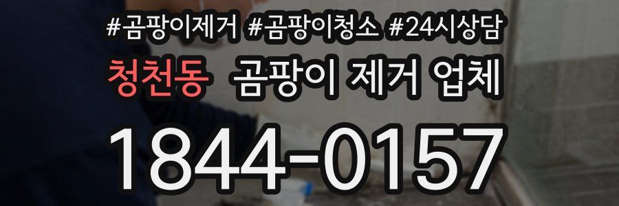 청천동 곰팡이 제거 업체