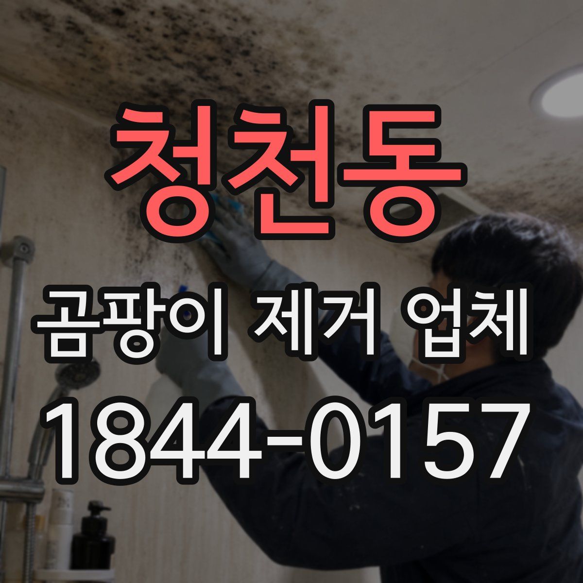 청천동 곰팡이 제거 업체