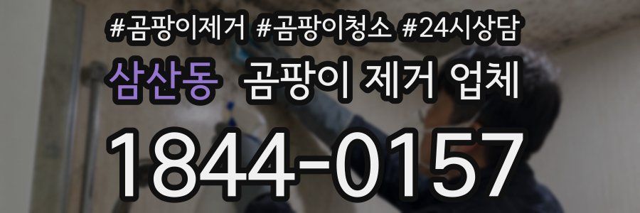 삼산동 곰팡이 제거 업체
