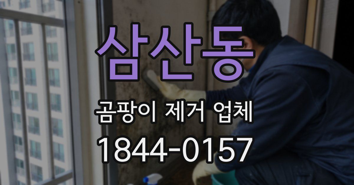 삼산동 곰팡이 제거 업체