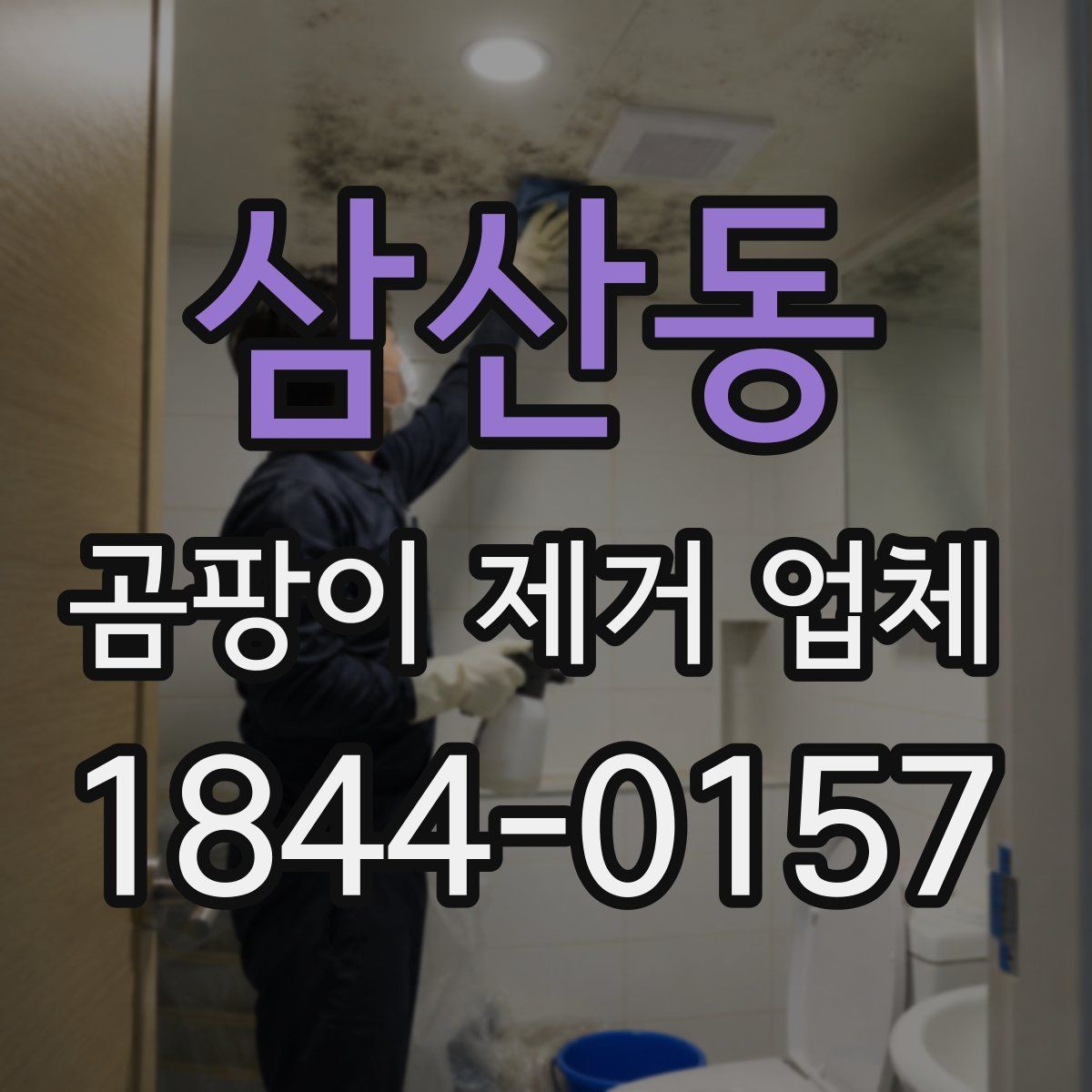 삼산동 곰팡이 제거 업체