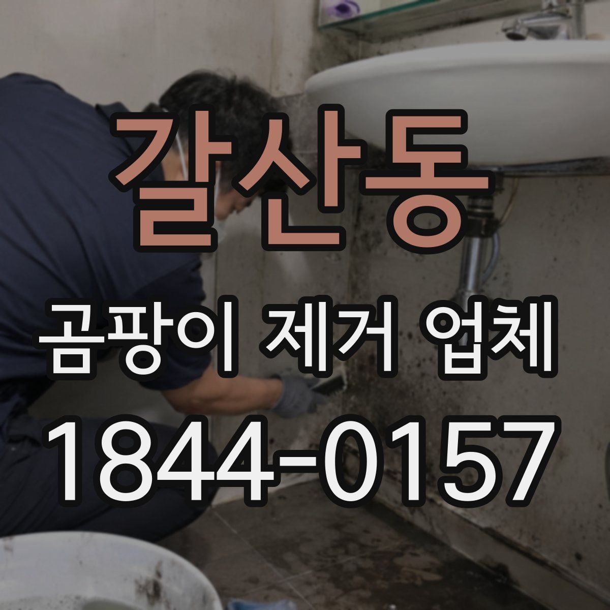 갈산동 곰팡이 제거 업체