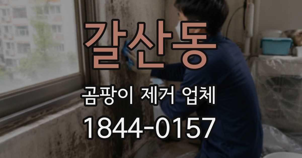 갈산동 곰팡이 제거 업체