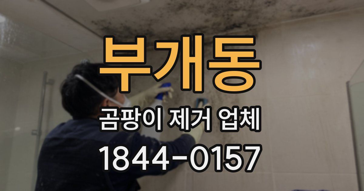 부개동 곰팡이 제거 업체