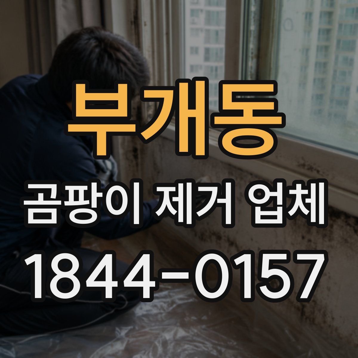 부개동 곰팡이 제거 업체