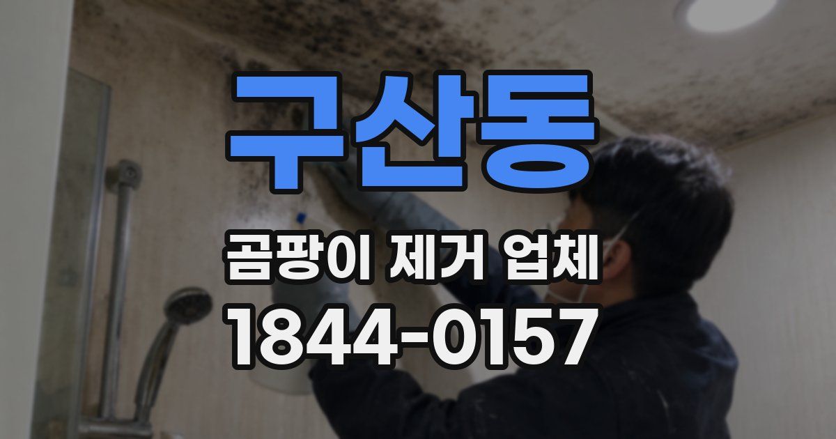 구산동 곰팡이 제거 업체