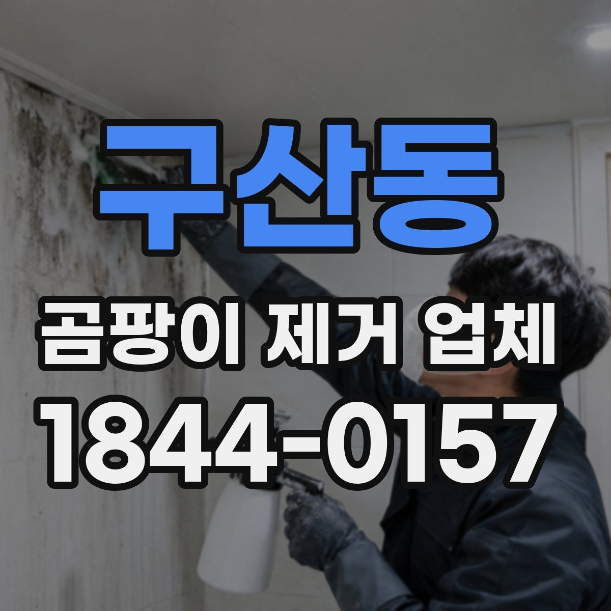 구산동 곰팡이 제거 업체