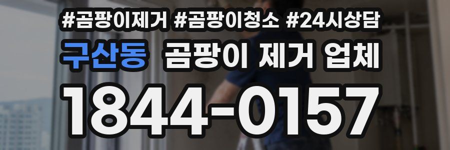 구산동 곰팡이 제거 업체