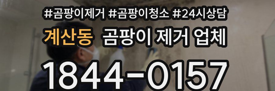 계산동 곰팡이 제거 업체