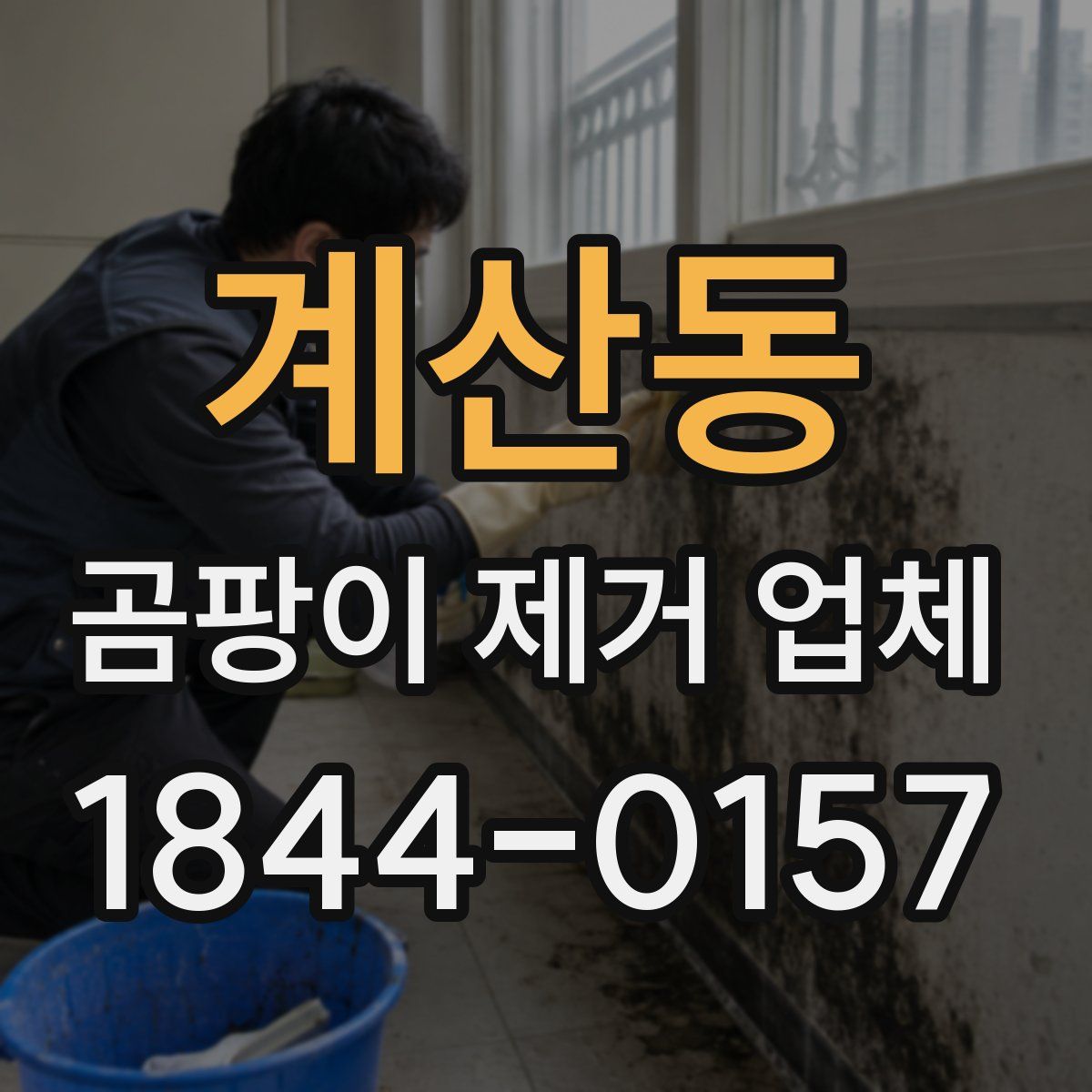 계산동 곰팡이 제거 업체