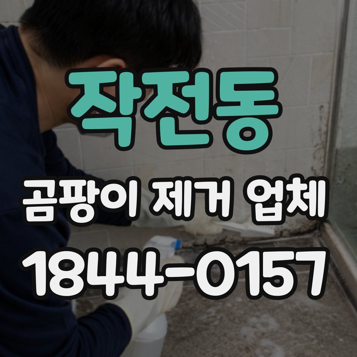 작전동 곰팡이 제거 업체