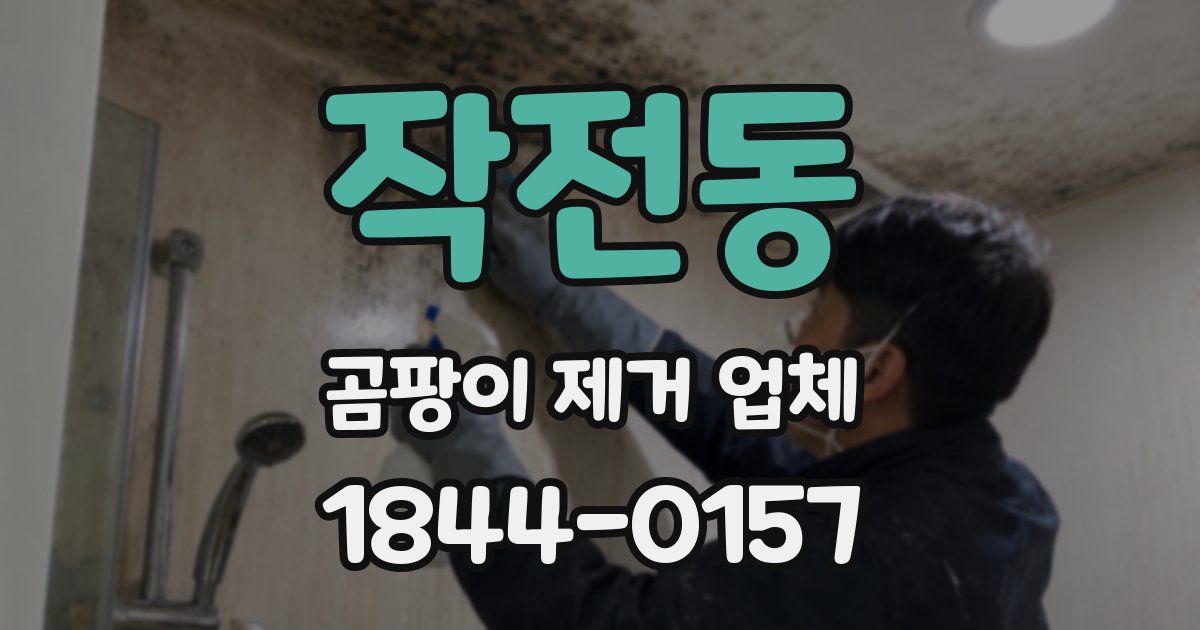 작전동 곰팡이 제거 업체