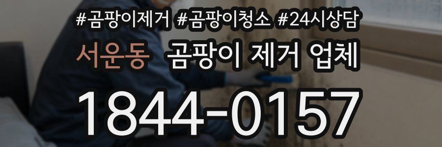 서운동 곰팡이 제거 업체