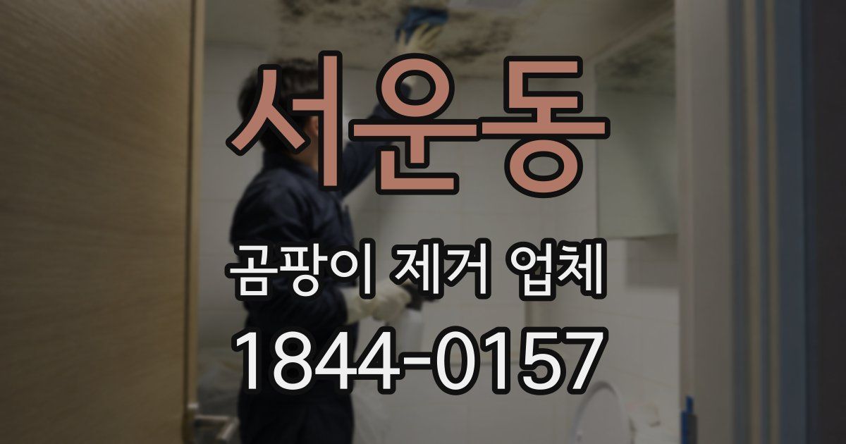 서운동 곰팡이 제거 업체