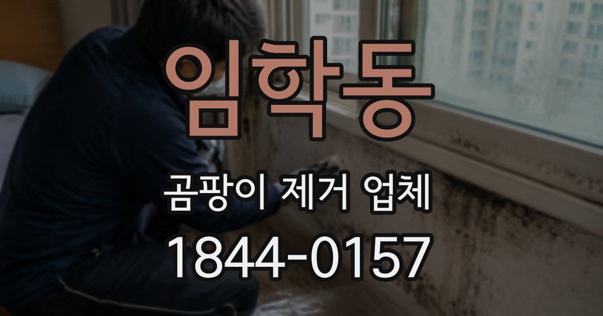 임학동 곰팡이 제거 업체