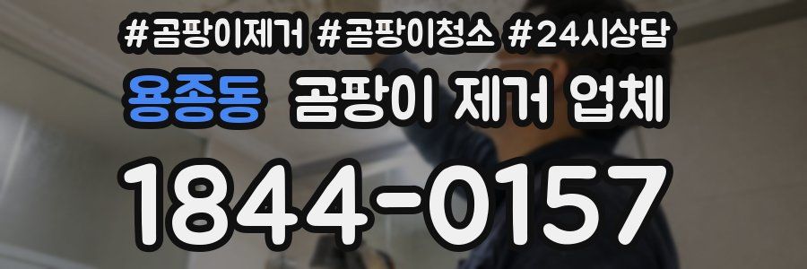 용종동 곰팡이 제거 업체