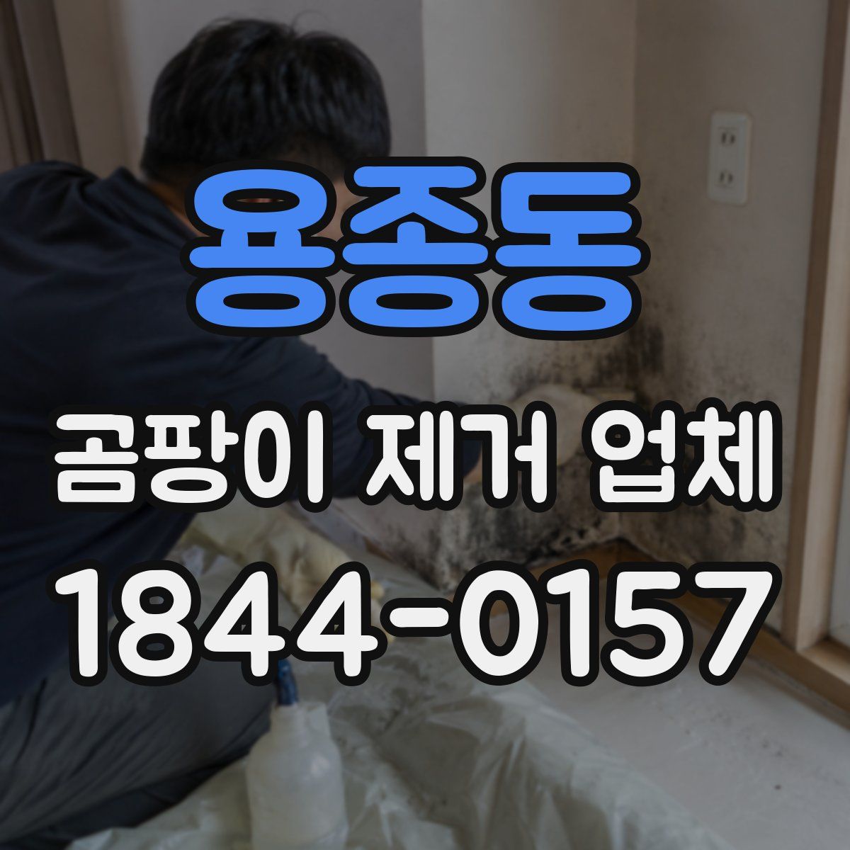 용종동 곰팡이 제거 업체