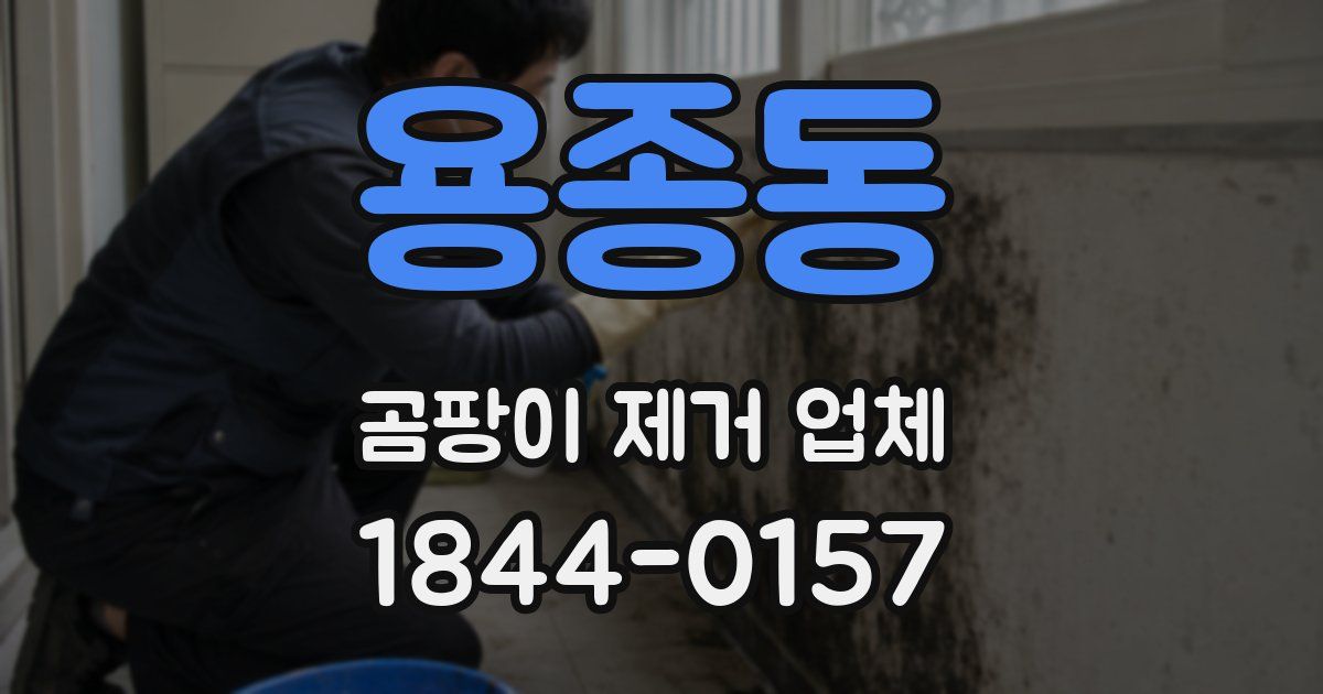 용종동 곰팡이 제거 업체