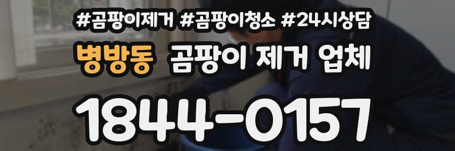 병방동 곰팡이 제거 업체