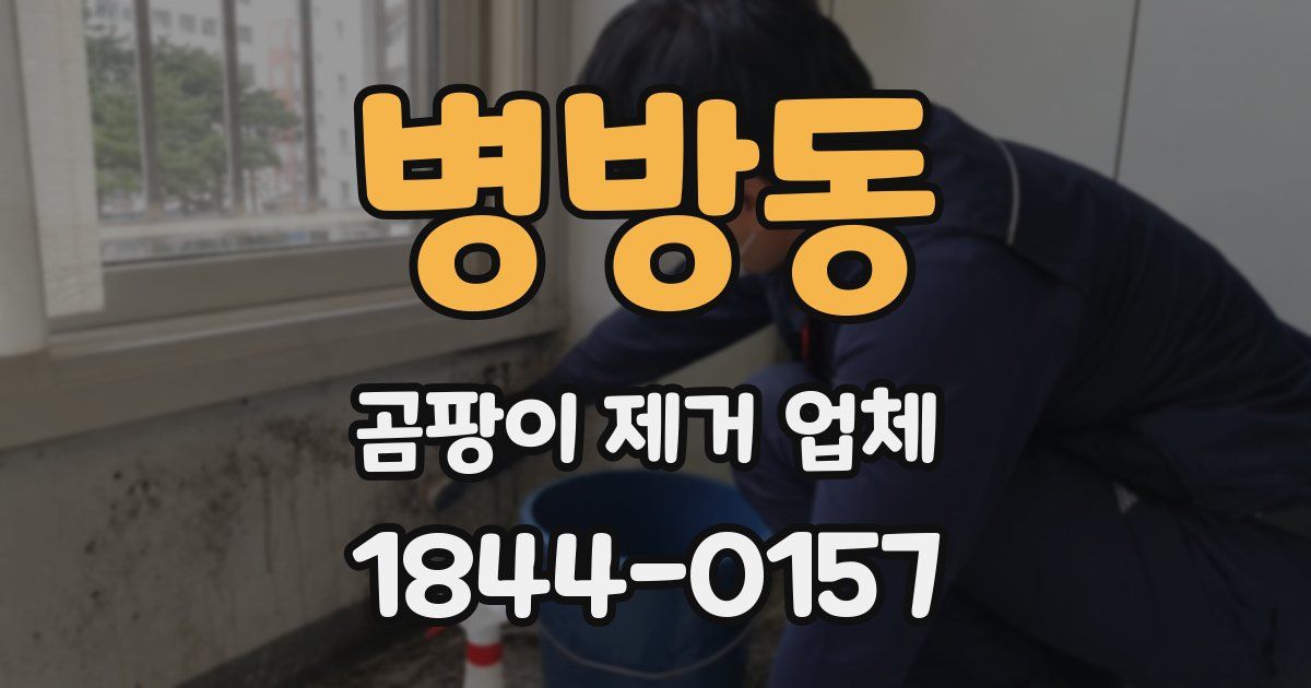 병방동 곰팡이 제거 업체