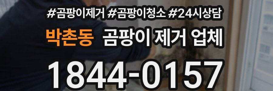 박촌동 곰팡이 제거 업체