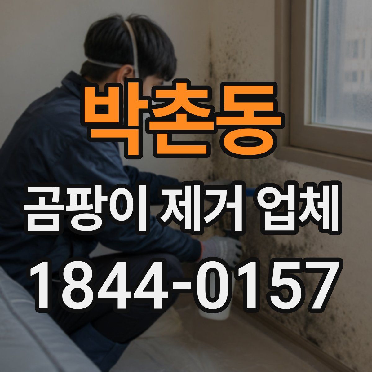 박촌동 곰팡이 제거 업체