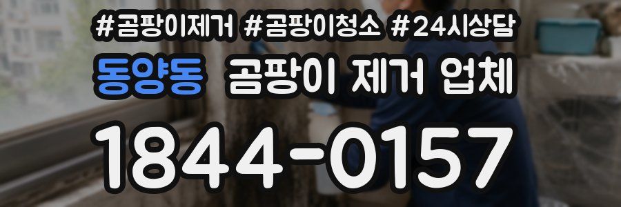 동양동 곰팡이 제거 업체