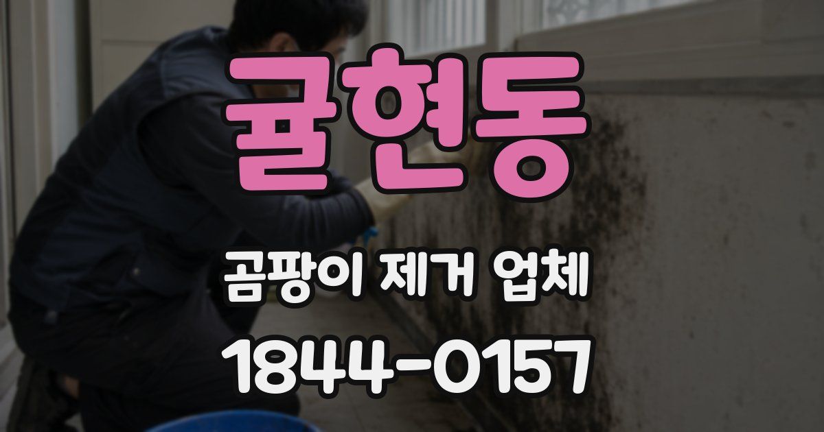 귤현동 곰팡이 제거 업체