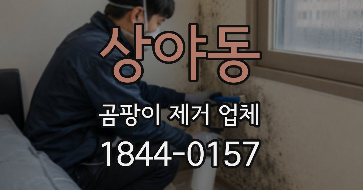 상야동 곰팡이 제거 업체