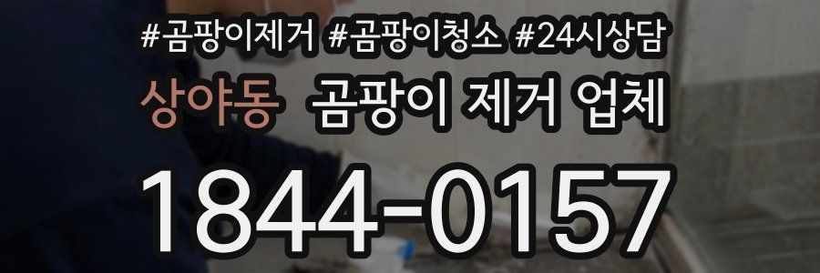 상야동 곰팡이 제거 업체