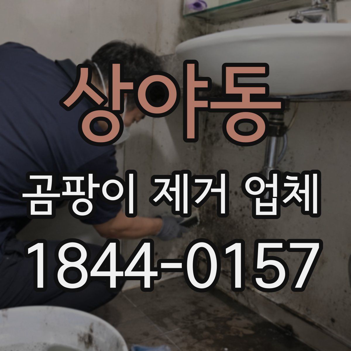 상야동 곰팡이 제거 업체
