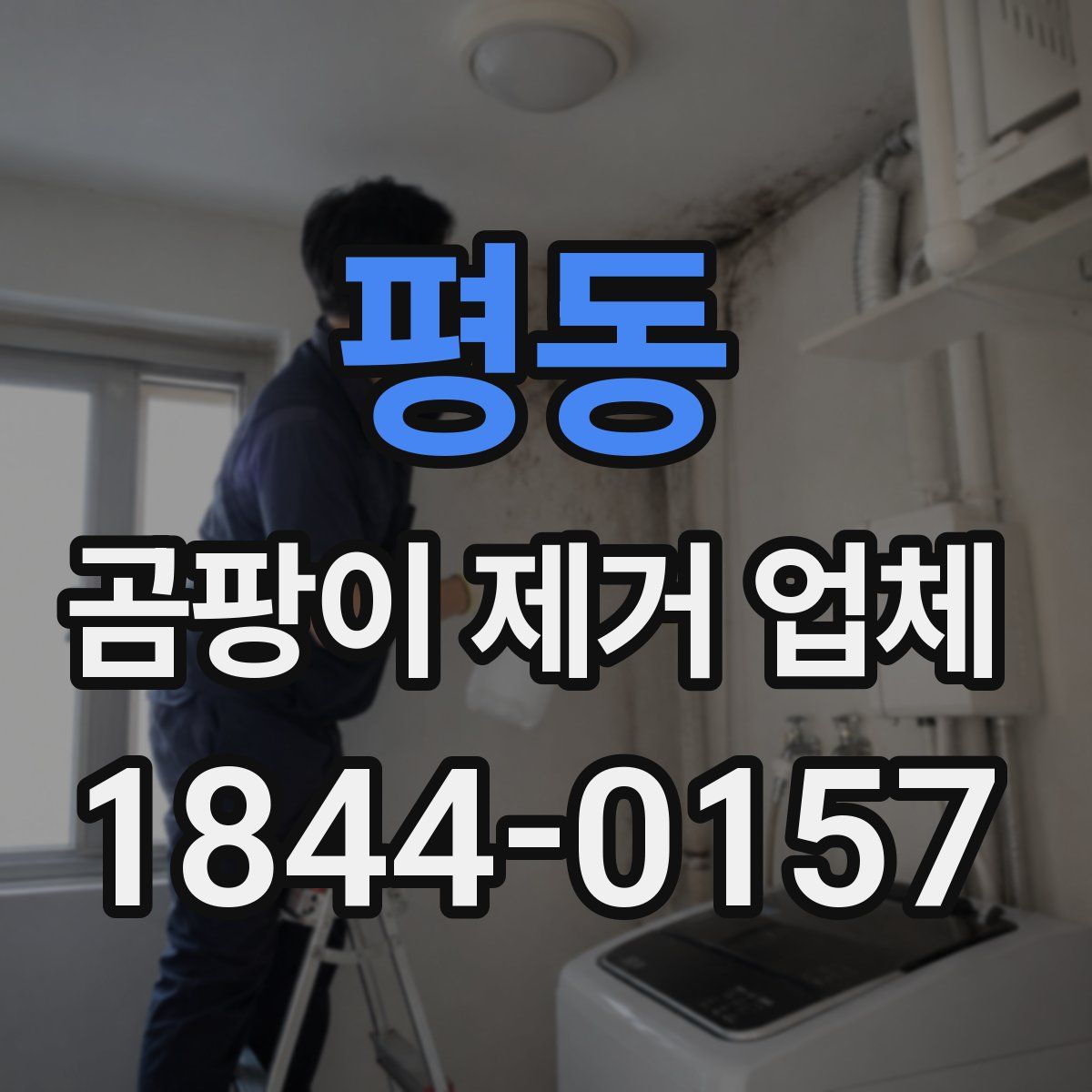 평동 곰팡이 제거 업체