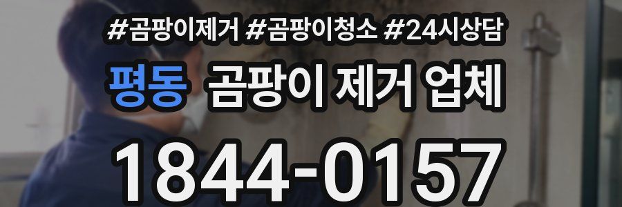 평동 곰팡이 제거 업체