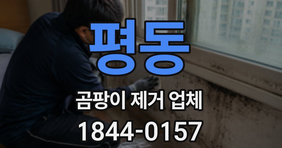 평동 곰팡이 제거 업체
