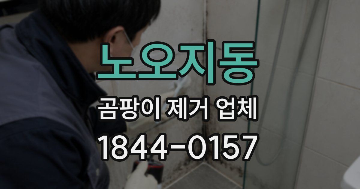 노오지동 곰팡이 제거 업체