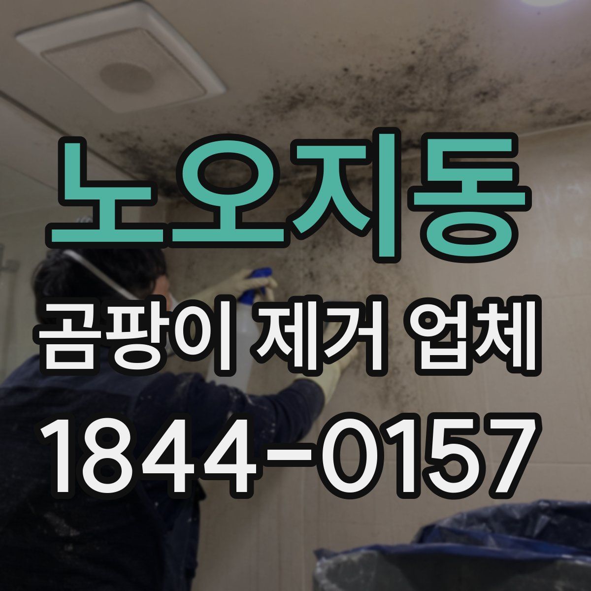 노오지동 곰팡이 제거 업체