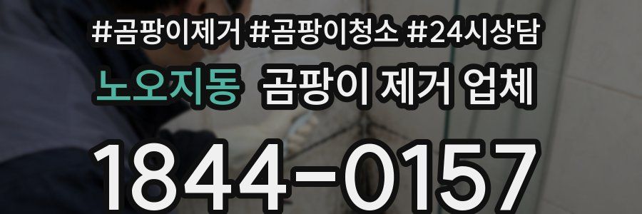 노오지동 곰팡이 제거 업체