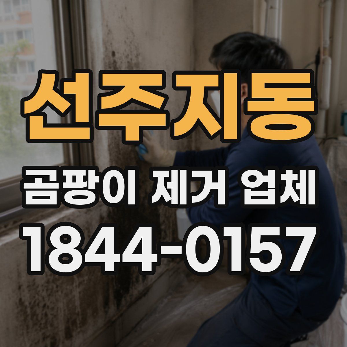 선주지동 곰팡이 제거 업체