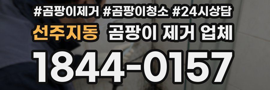 선주지동 곰팡이 제거 업체