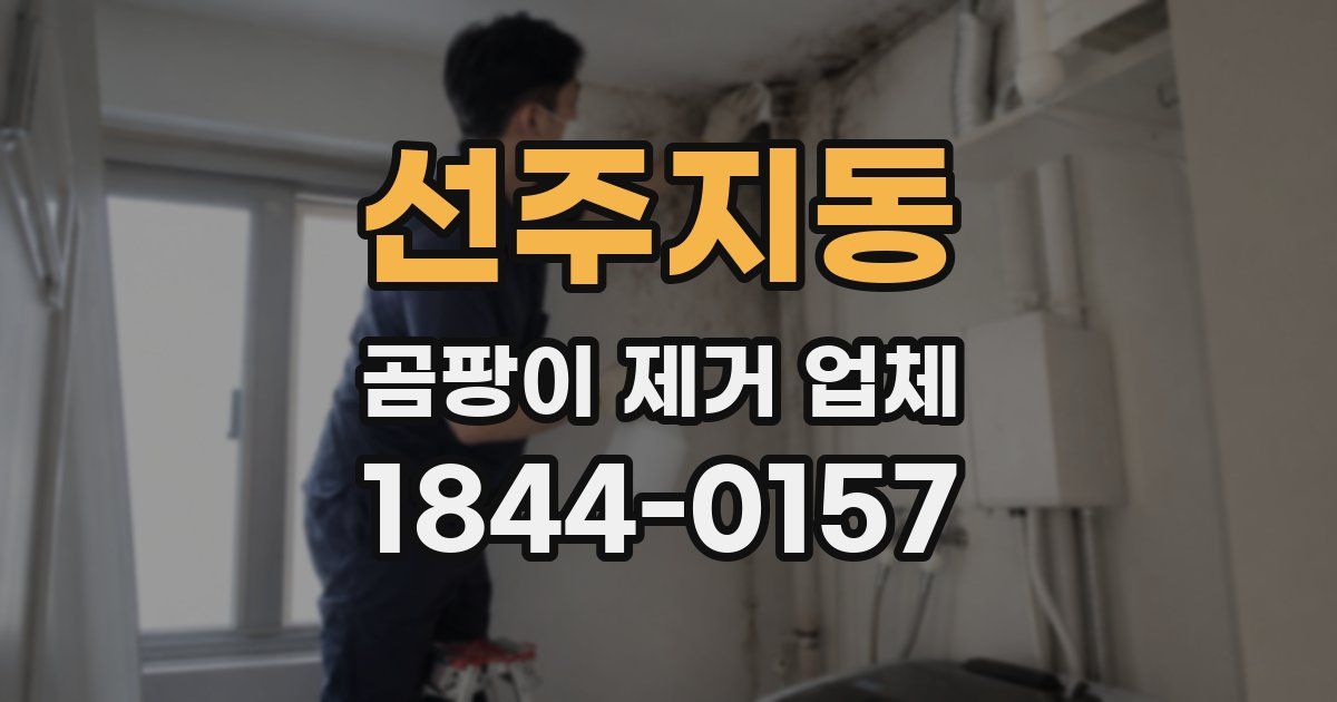 선주지동 곰팡이 제거 업체