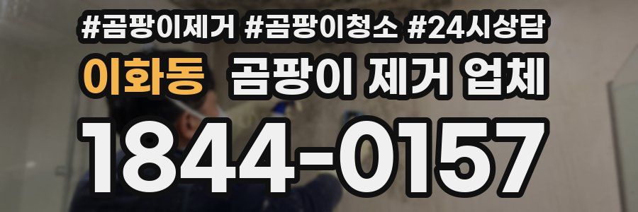 이화동 곰팡이 제거 업체