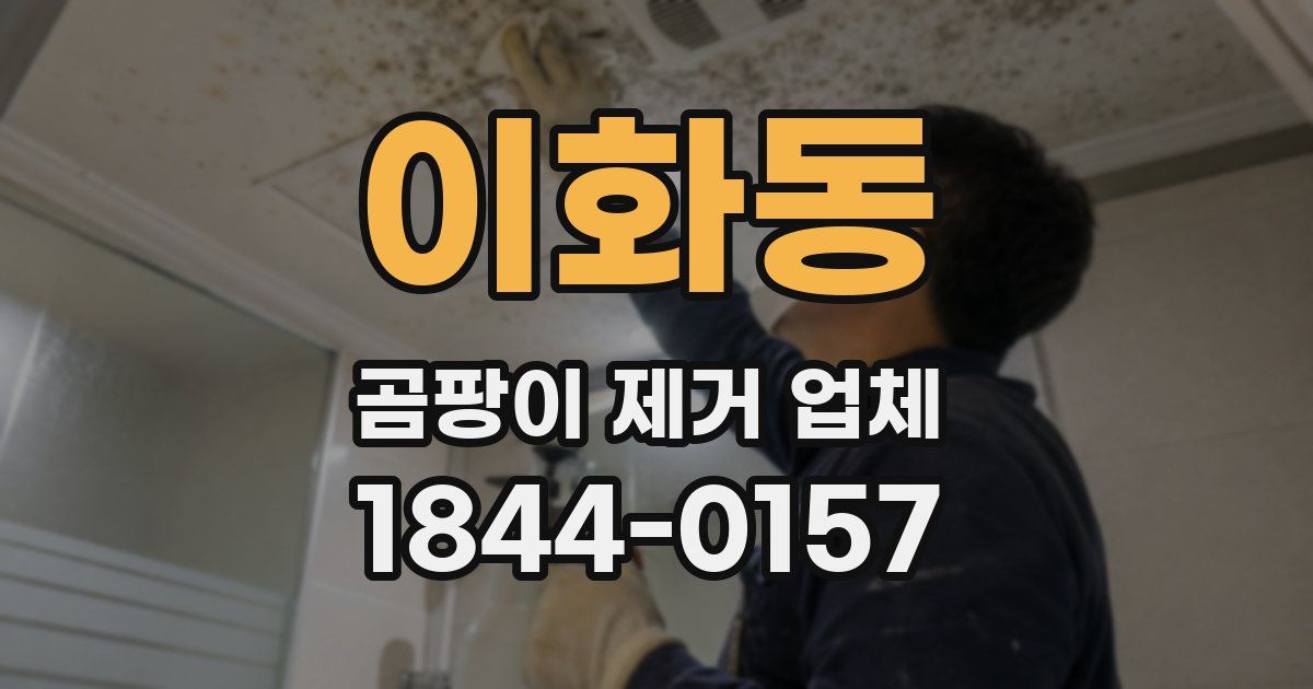 이화동 곰팡이 제거 업체