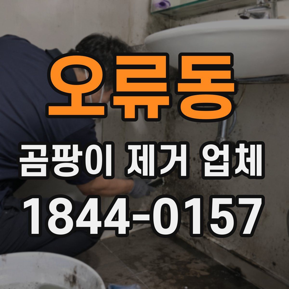 오류동 곰팡이 제거 업체