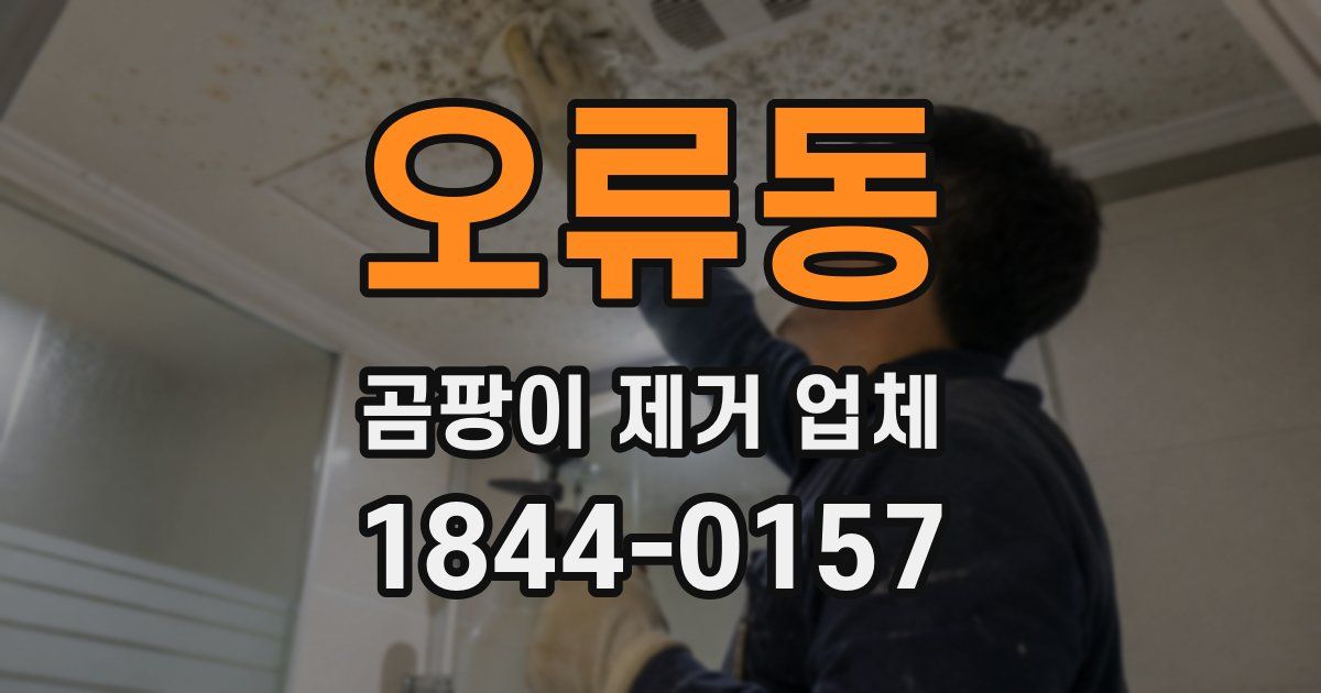 오류동 곰팡이 제거 업체