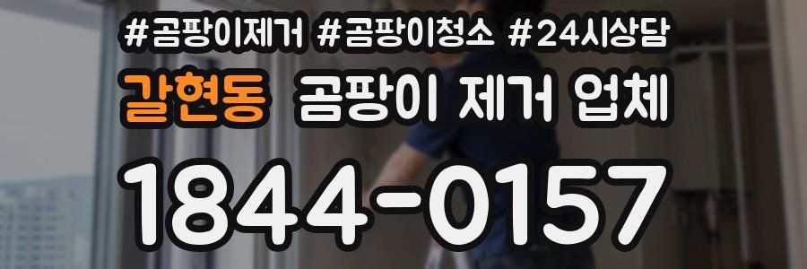 갈현동 곰팡이 제거 업체